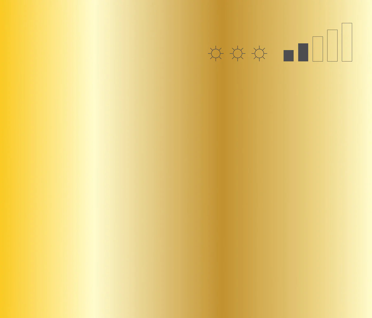 MTN 94 Spray Paint - Frame Gold