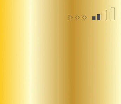 MTN 94 Spray Paint - Frame Gold